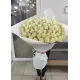 101 white roses