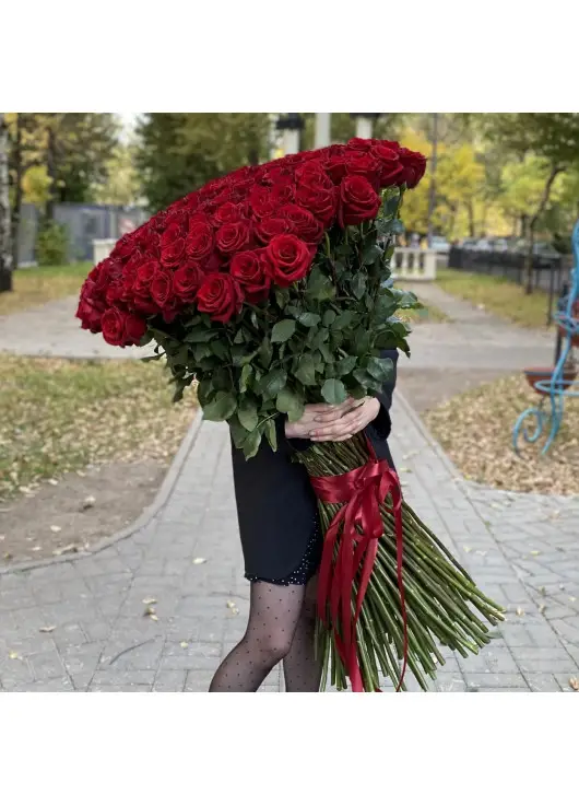 Holland roses 150 cm Holland roses 150 cm