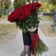 Holland roses 150 cm Holland roses 150 cm