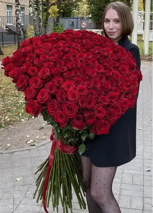Holland roses 150 cm Holland roses 150 cm