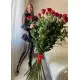 Holland roses 150 cm Holland roses 150 cm