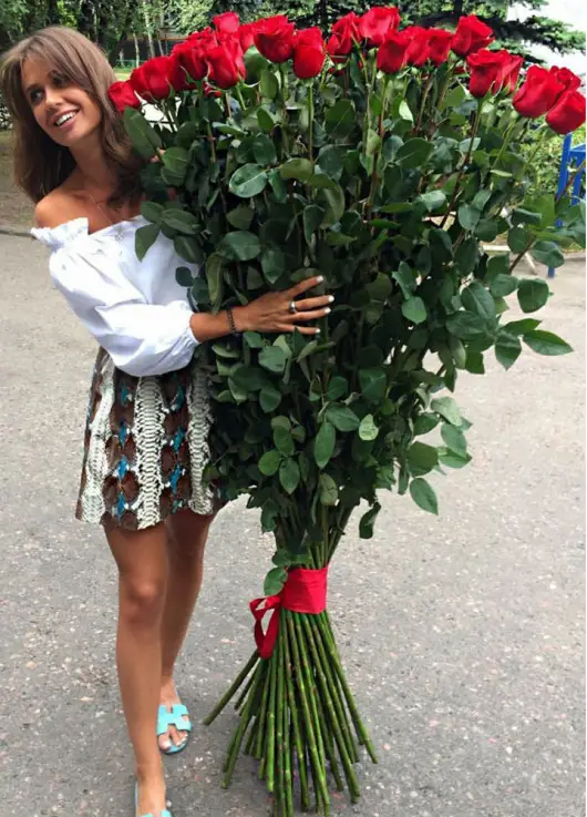 Holland roses 150 cm Holland roses 150 cm