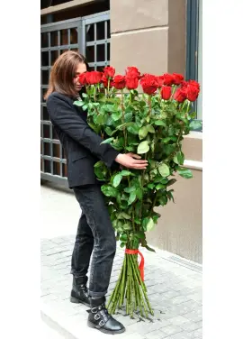 Holland roses  150 cm