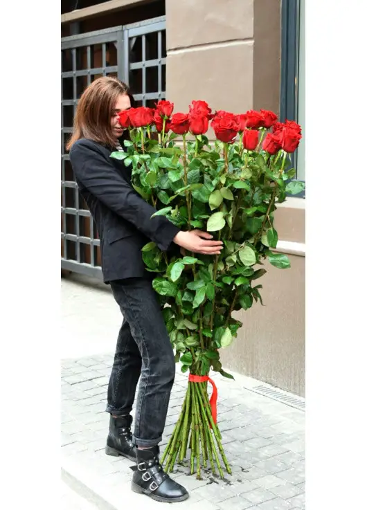 Holland roses 150 cm Holland roses 150 cm