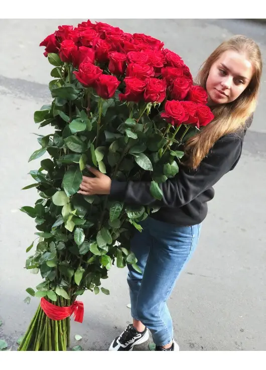 Holland roses  150 cm
