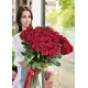 25 Holland roses