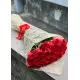 25 Holland roses 25 Holland roses