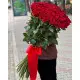 Holland roses