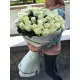 25 Holland roses 25 Holland roses