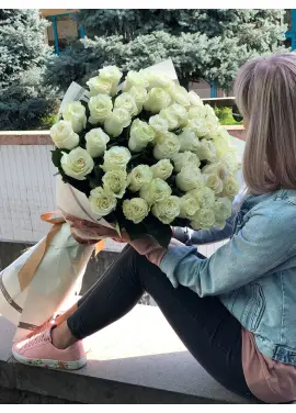 51 white meter Holland roses