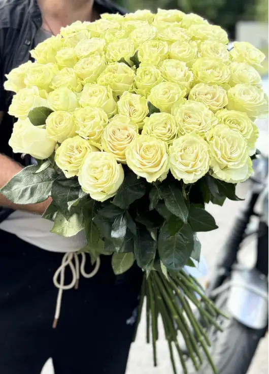 51 white meter rose