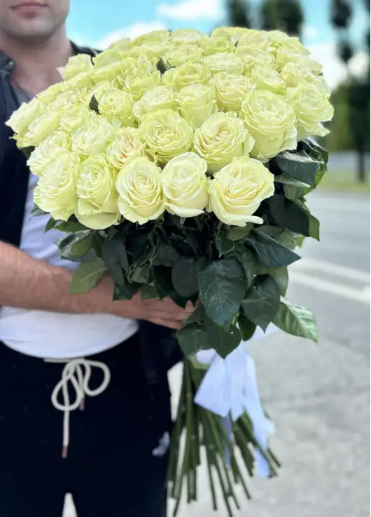 51 white meter rose