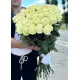 51 white meter rose