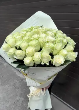 51 white meter rose