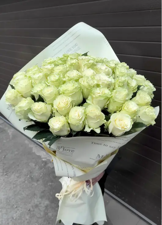 51 white meter rose
