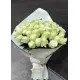 51 white meter rose