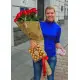 Holland roses