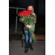Holland roses