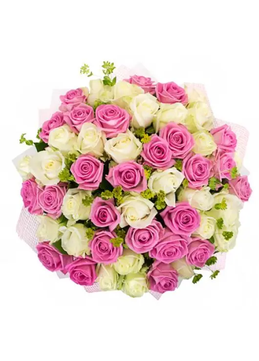 White-pink zefіr White-pink zefіr