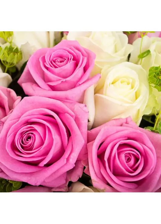 White-pink zefіr White-pink zefіr