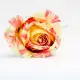 Pink roses Deep Water
