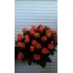 Peach roses by pieces
