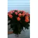 Peach roses by pieces