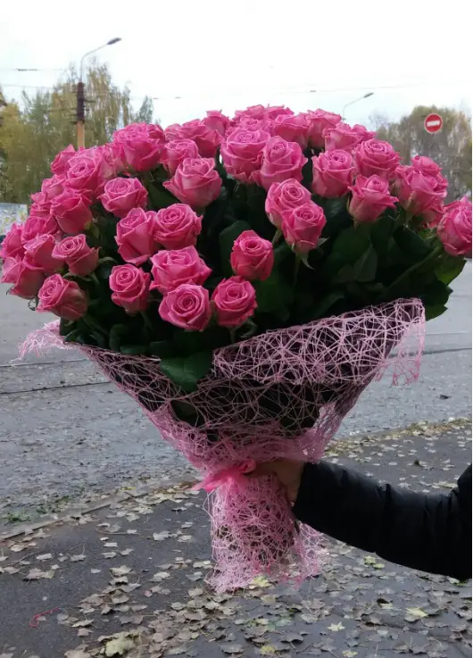 Pink roses Pink roses