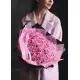 Pink roses Pink roses
