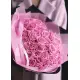 Pink roses Pink roses