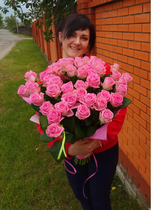 Pink roses Pink roses