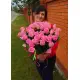 Pink roses Pink roses
