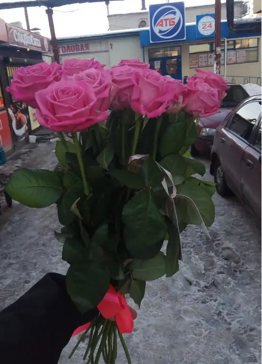Pink roses Pink roses