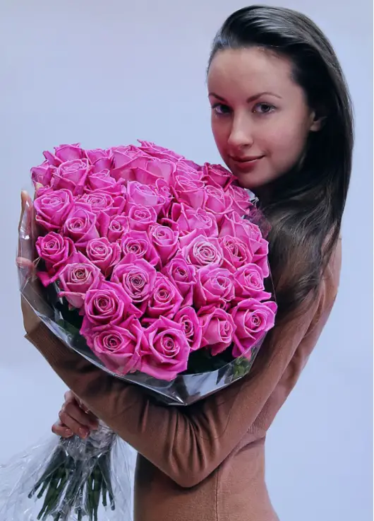Pink roses Pink roses