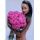 Pink roses Pink roses
