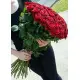 Bouquet of red roses Bouquet of red roses