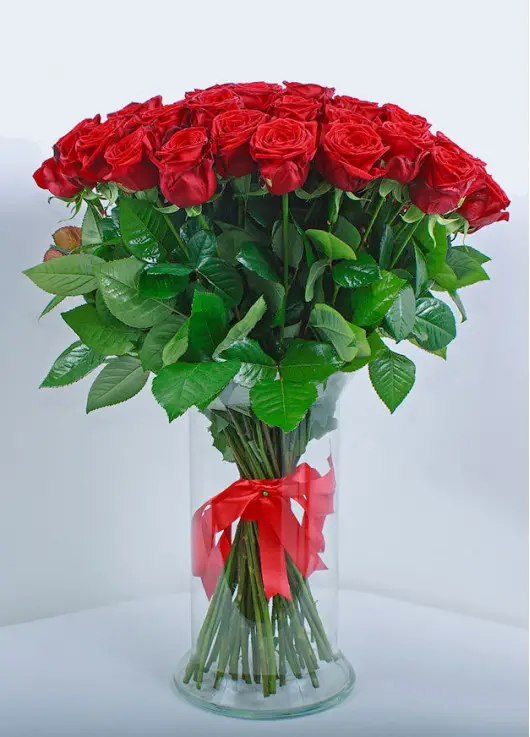 Bouquet of red roses Bouquet of red roses