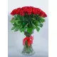 Bouquet of red roses Bouquet of red roses