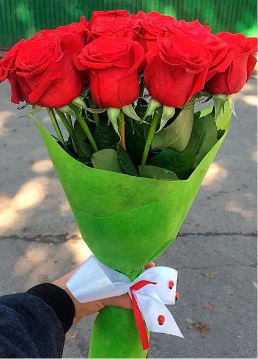 Federica 19 red roses