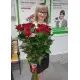 Bouquet of red roses Bouquet of red roses