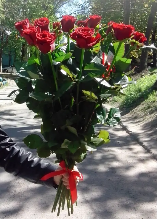 Red roses by pieces Red roses by pieces