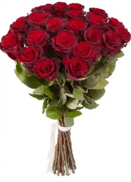 Federica 19 red roses