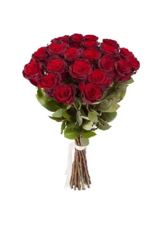 Federica 19 red roses