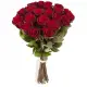 Federica 19 red roses