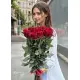 19 royal roses of large imported roses
