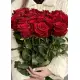 19 royal roses of large imported roses