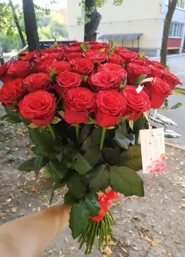Federica 19 red roses