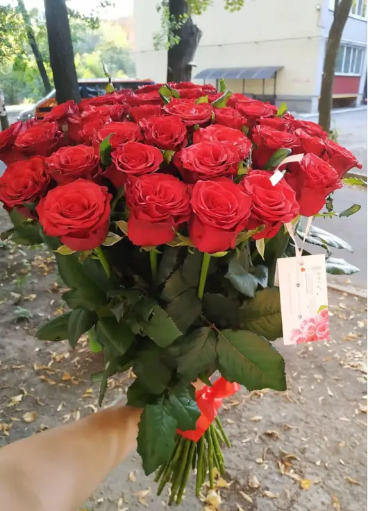 Federica 19 red roses