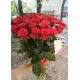 Federica 19 red roses