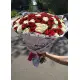 Red and white roses